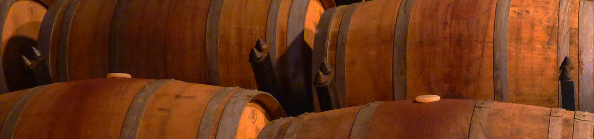 Vimercate - Cantina Seiterre 