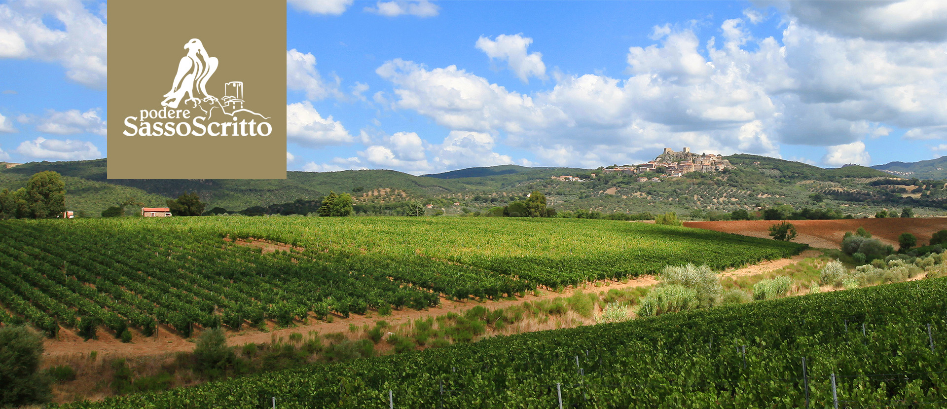 Seiterre in Podere Sassoscritto