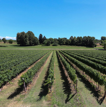 Seiterre in Podere del Gal