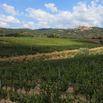 Seiterre in Podere Sassoscritto