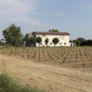 Seiterre in Tenuta Fantona
