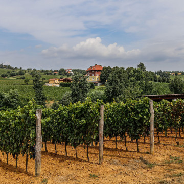 Seiterre in Tenuta Montebello