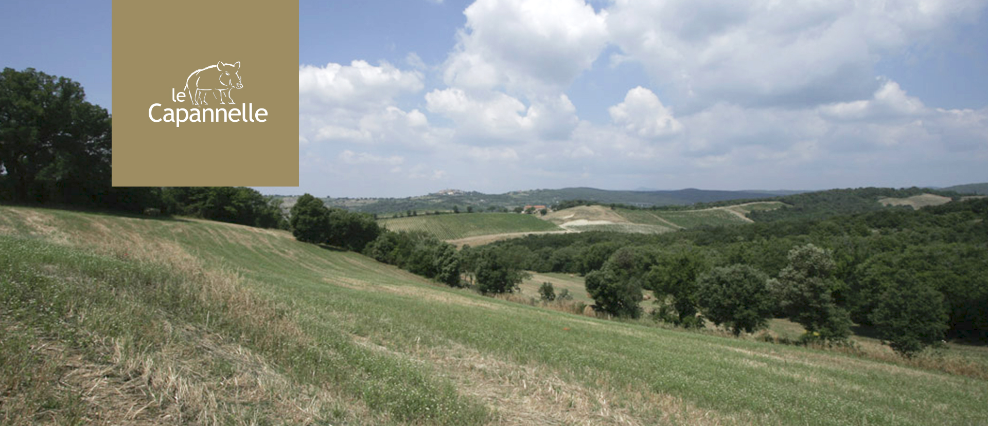 Seiterre in Poggio Le Capannelle