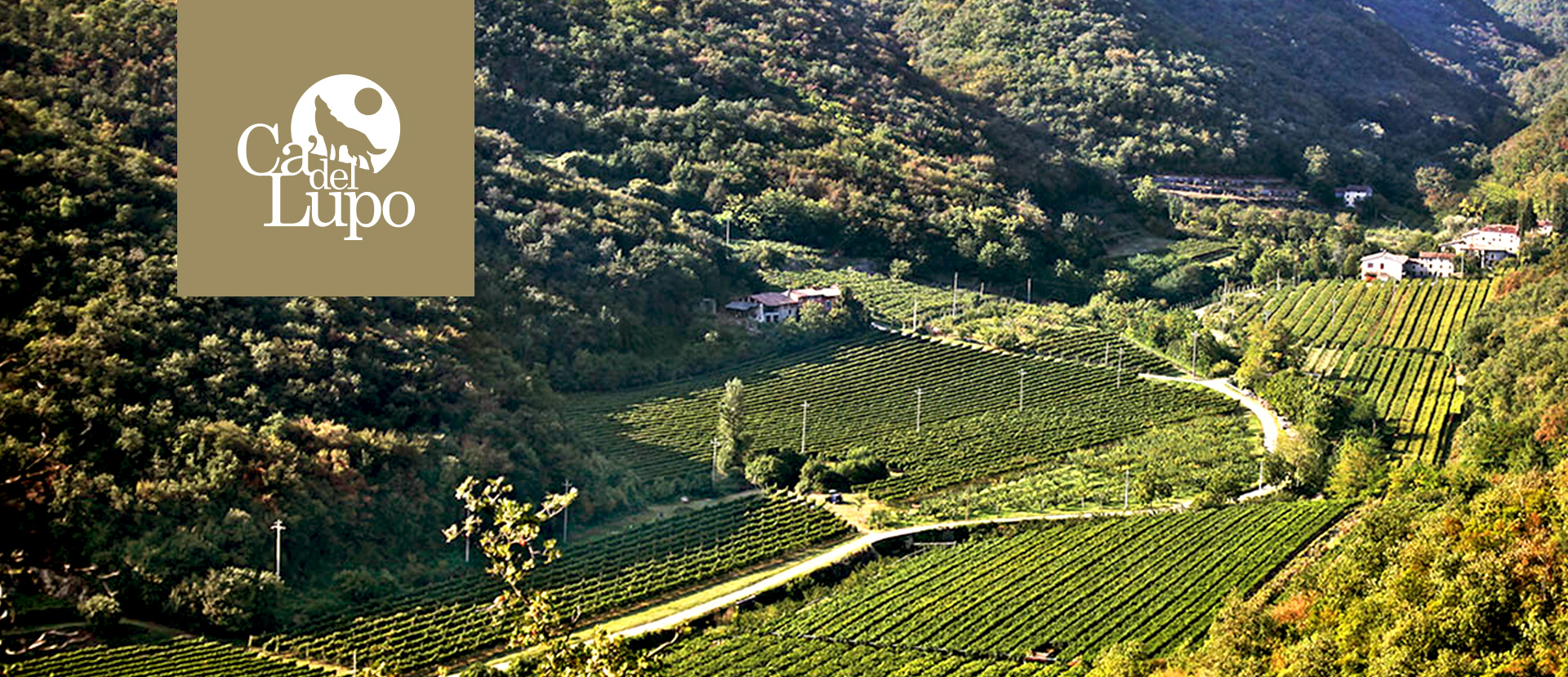 Seiterre in Ca' del Lupo