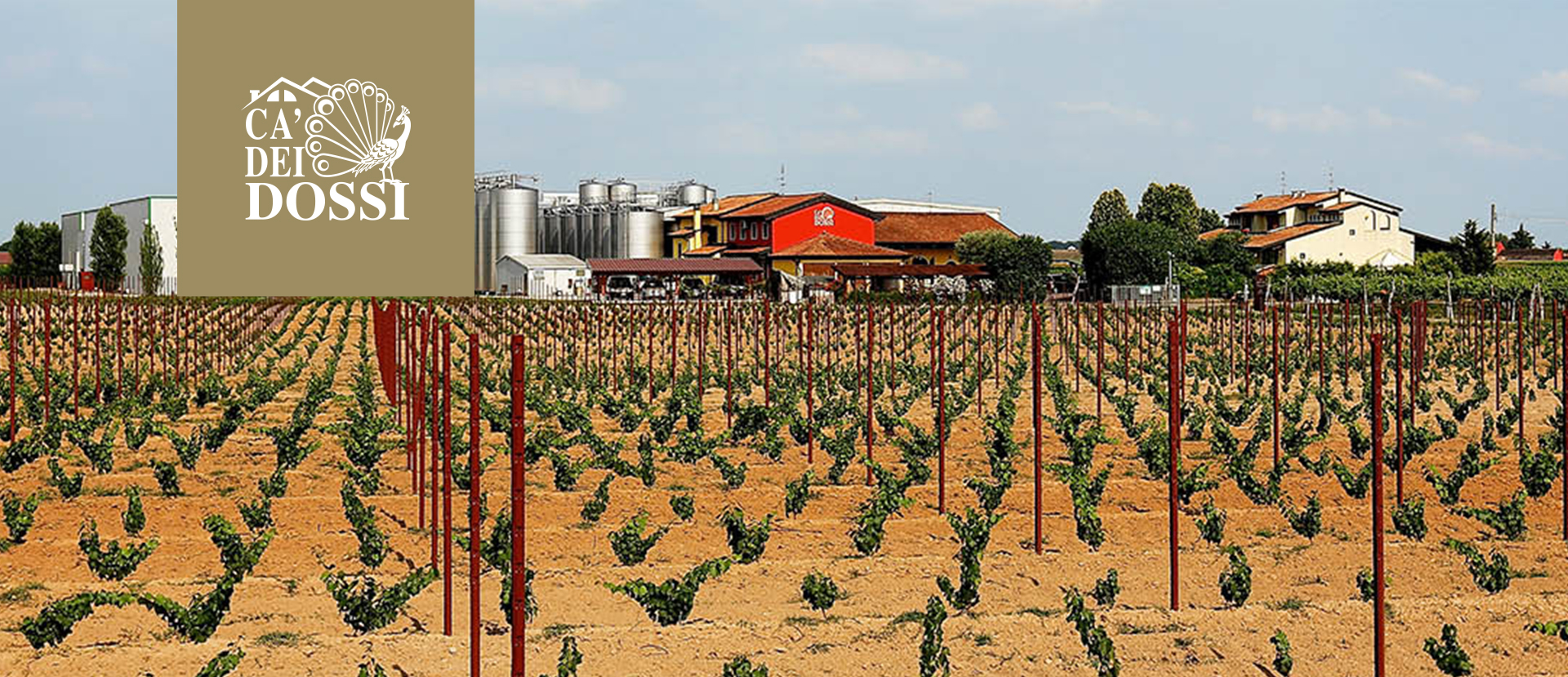 Seiterre in Ca' dei Dossi