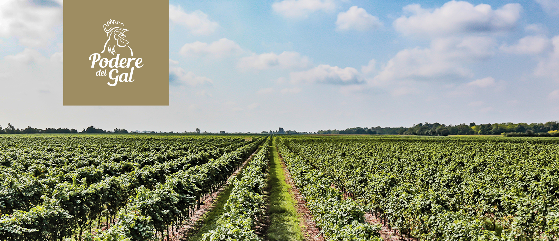 Seiterre in Podere del Gal